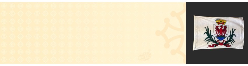 Drapeaux : Régions occitanes